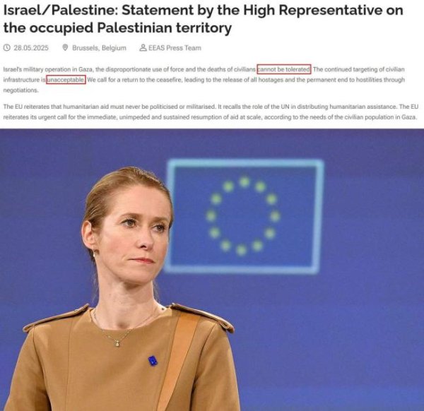 领域国际 欧盟和以色列的关系有何变化 欧盟谴责以方行动