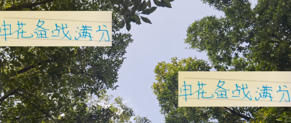 卓信宝 申花备战满分！虽没有留住杨皓宇 陈晋一 但留住阿苏埃 也很给力