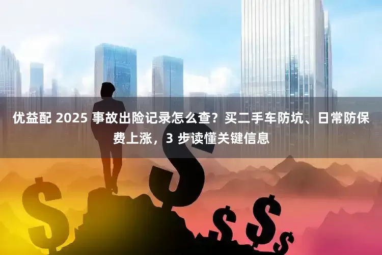 优益配 2025 事故出险记录怎么查？买二手车防坑、日常防保费上涨，3 步读懂关键信息