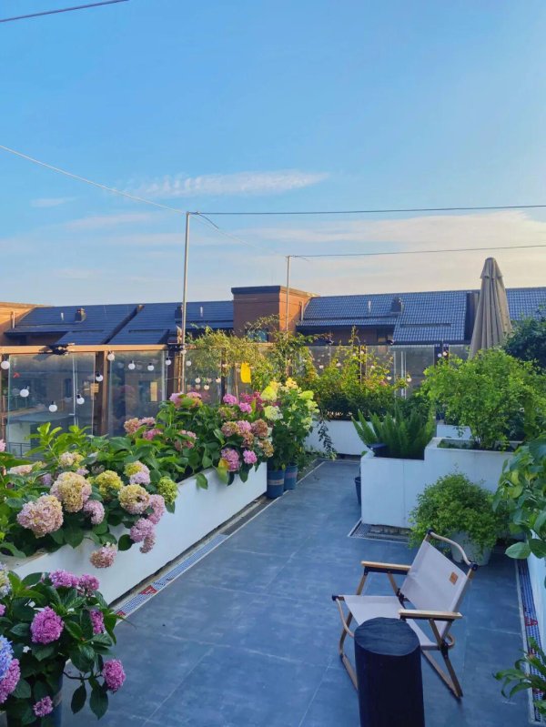 东启网 贪便宜买“顶楼带露台”的房子，入住1年后，邻居掏钱求我搬出去