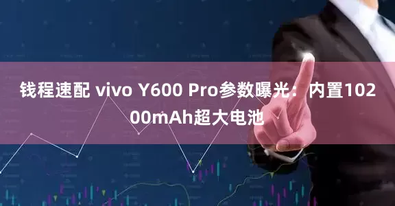 钱程速配 vivo Y600 Pro参数曝光：内置10200mAh超大电池